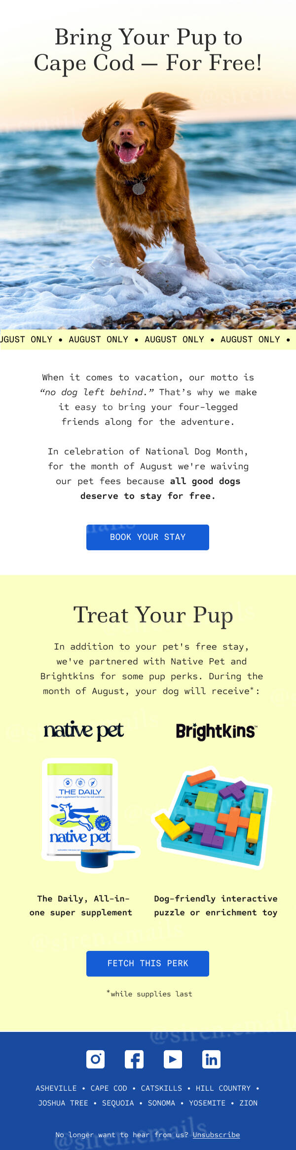 camp email - siren emails